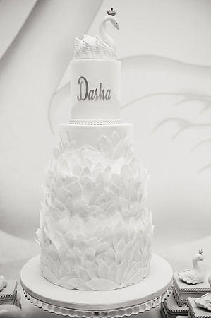 dash018
