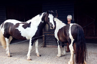 luna25003