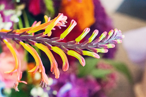 _2096102