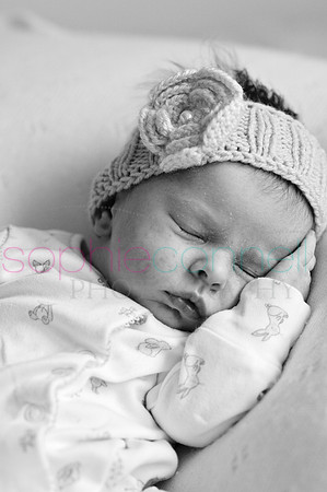 MARGOT25732