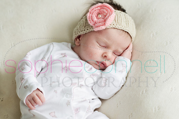 MARGOT25731