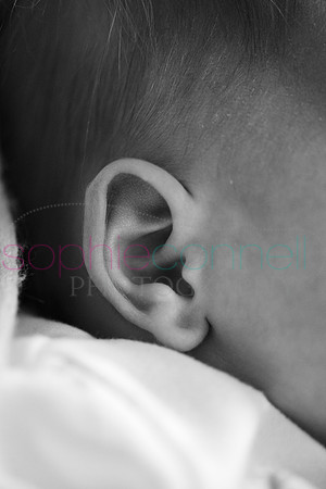 MARGOT25750