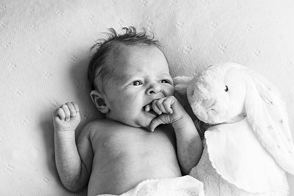amber25297