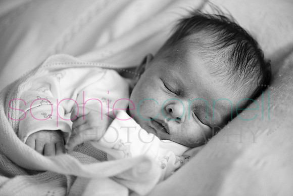 MARGOT25752