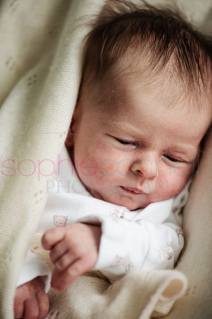 MARGOT25741