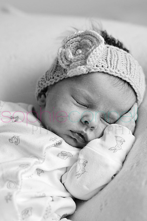 MARGOT25734