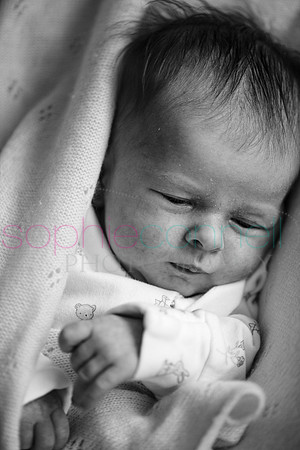 MARGOT25740