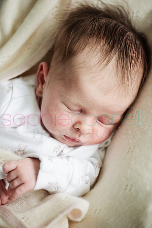 MARGOT25755
