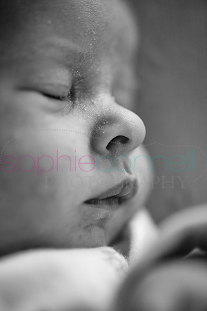 MARGOT25748