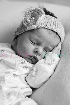 MARGOT25736