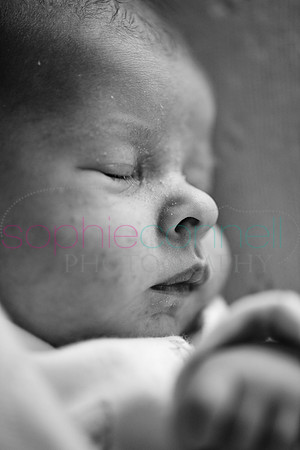 MARGOT25746