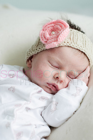 MARGOT25733