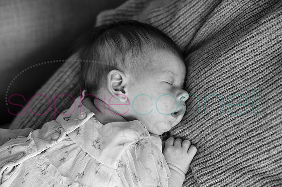 MARGOT25453
