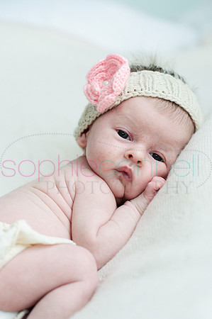 MARGOT25807