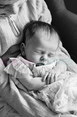 MARGOT25582