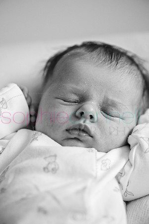 MARGOT25762
