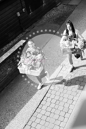 amy&mark0334