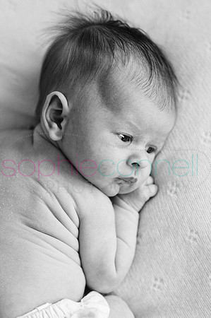 MARGOT25798