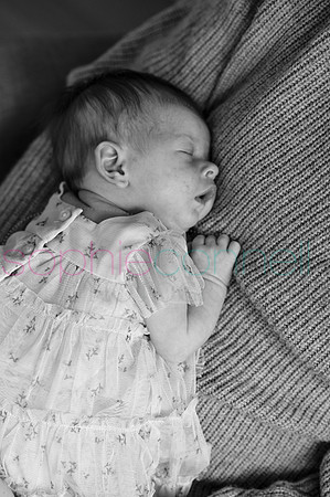 MARGOT25451