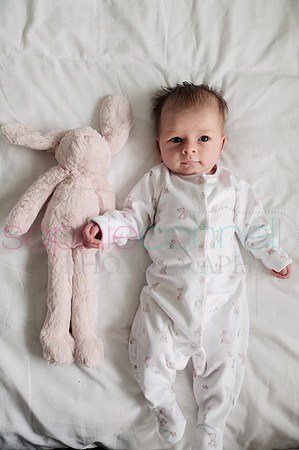 MARGOT25710