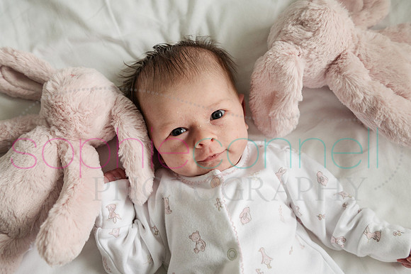 MARGOT25702