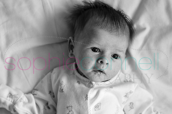 MARGOT25712
