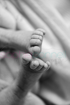 MARGOT25774