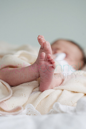 MARGOT25787
