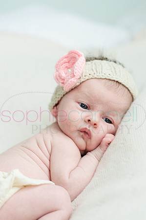 MARGOT25803