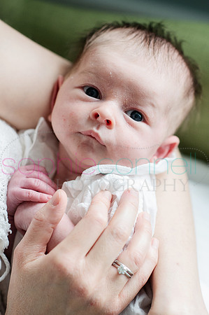 MARGOT25633
