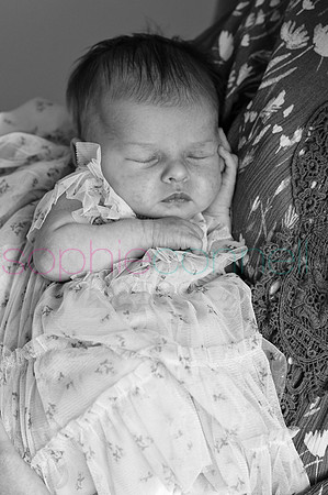 MARGOT25542