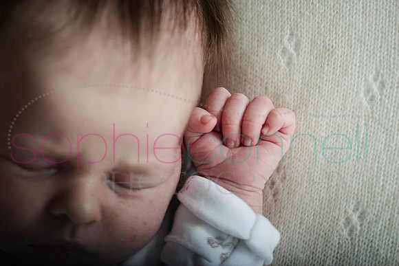 MARGOT25765