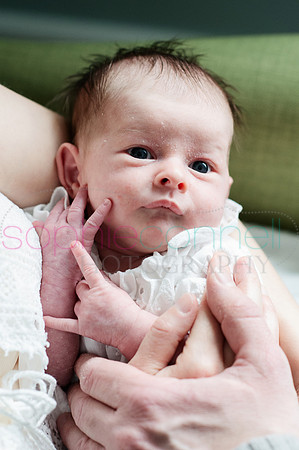 MARGOT25639
