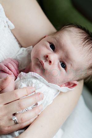 MARGOT25629