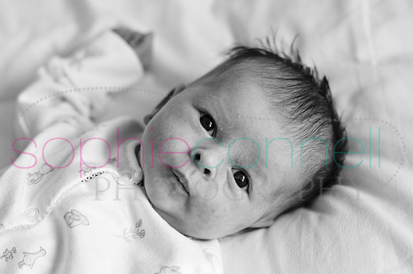 MARGOT25720