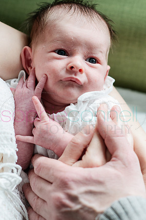 MARGOT25635