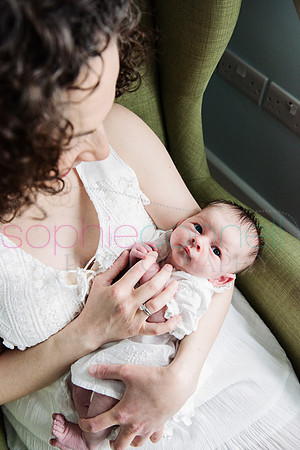 MARGOT25517