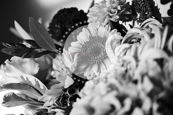 amy&mark0364