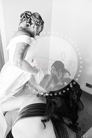 amy&mark0484