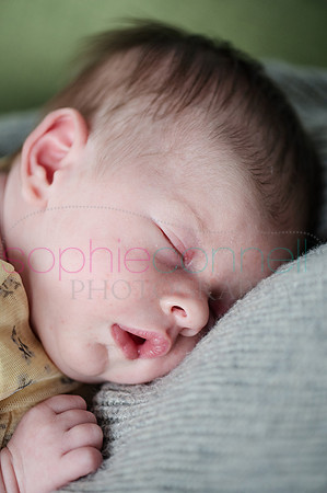 MARGOT25440