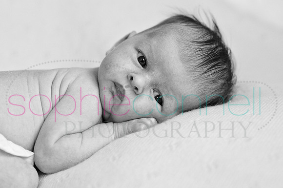 MARGOT25790