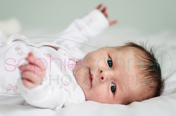 MARGOT25717