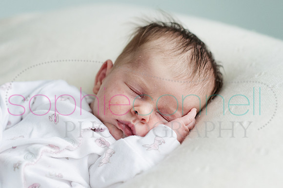 MARGOT25725