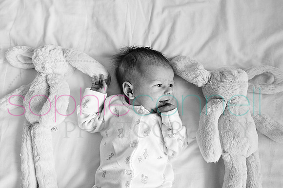 MARGOT25695