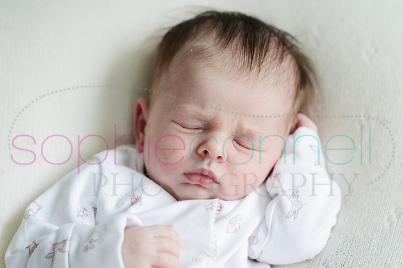 MARGOT25739