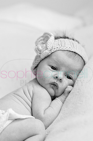 MARGOT25802