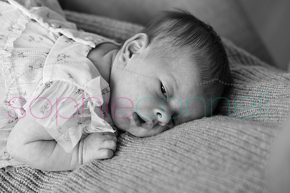 MARGOT25445
