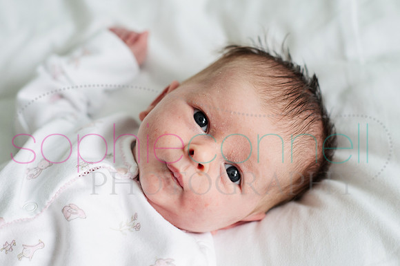 MARGOT25721