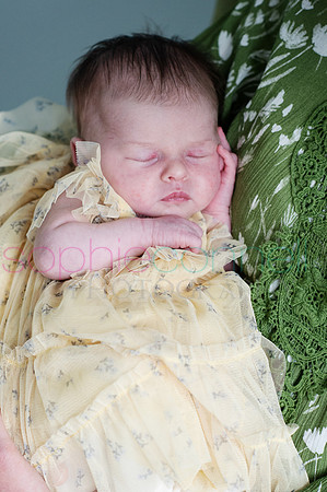 MARGOT25543