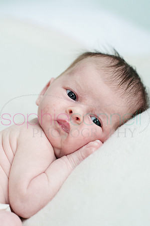 MARGOT25789